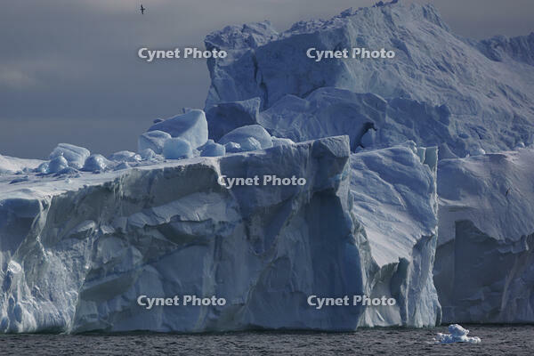 北極圏の風景 [XDV110001171]