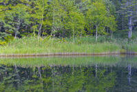 万座温泉・牛池 [YKA110023134]