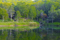 万座温泉・牛池 [YKA110023135]