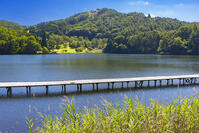 聖湖 [YKA110023157]