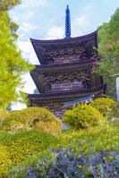 大法寺の三重塔 [YKA110023160]