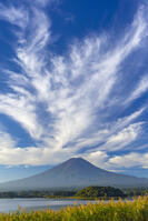 大石公園のススキと富士山 [YKA110023169]
