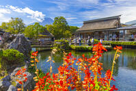 忍野八海より富士山 [YKA110023182]