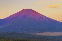 パノラマ台から赤富士 [YKA110023184]