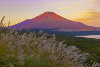 パノラマ台から赤富士 [YKA110023185]