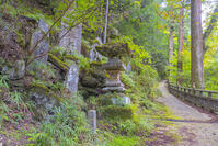 三峯神社の参道 [YKA110023224]