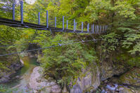 一之釜の吊り橋 [YKA110023229]