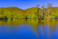 曽原湖 [YKA110023236]