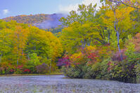 地蔵沼 [YKA110023239]