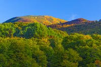 地蔵沼から姥ヶ岳 [YKA110023240]