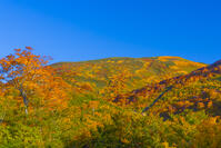 姥沢駐車場から姥ヶ岳 [YKA110023242]