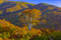 姥沢駐車場から月山 [YKA110023243]