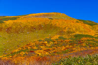 紅葉の姥ヶ岳 [YKA110023247]