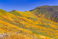 姥ヶ岳の登山道から月山 [YKA110023249]