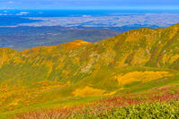 姥ヶ岳山頂から日本海 [YKA110023251]