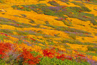 月山牛首カール [YKA110023252]