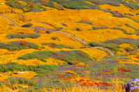 月山牛首カール [YKA110023253]