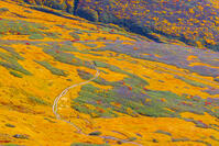 月山牛首カール [YKA110023254]