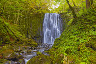 亀田不動滝 [YKA110023266]