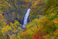 蔵王の不動滝 [YKA110023272]