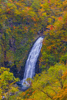 蔵王の不動滝 [YKA110023273]