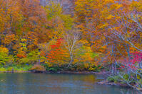 蔵王のドッコ沼 [YKA110023275]