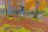 蔵王のドッコ沼 [YKA110023276]