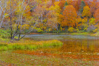 蔵王の片貝沼 [YKA110023277]