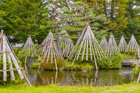 上杉記念館　庭園の雪囲い [YKA110023284]