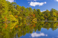 五色沼の柳沼 [YKA110023287]