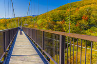 那須のつつじ吊橋 [YKA110023294]