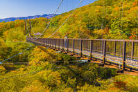 那須のつつじ吊橋 [YKA110023295]