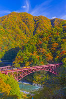 新山彦橋を渡るトロッコ電車 [YKA110023360]