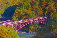 新山彦橋を渡るトロッコ電車 [YKA110023361]