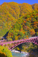 新山彦橋を渡るトロッコ電車 [YKA110023363]