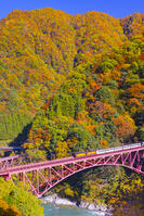 新山彦橋を渡るトロッコ電車 [YKA110023364]