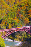 新山彦橋を渡るトロッコ電車 [YKA110023365]