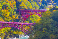 新山彦橋を渡るトロッコ電車 [YKA110023366]