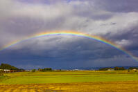 ダブルレインボー [YKA110023385]