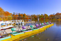 塩沢湖 [YKA110023388]