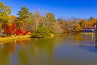 塩沢湖 [YKA110023389]