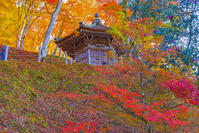 香嵐渓の太子堂 [YKA110023396]