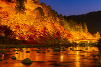 香嵐渓のライトアップ [YKA110023406]