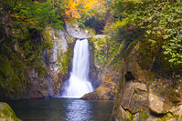 鳴沢の滝 [YKA110023407]