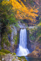 鳴沢の滝 [YKA110023408]