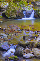 くらがり渓谷 [YKA110023412]