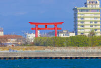 浜名湖　弁天島の赤鳥居 [YKA110023423]
