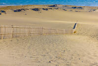 中田島砂丘 [YKA110023427]