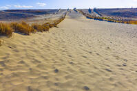 中田島砂丘 [YKA110023428]