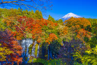 白糸の滝と富士山 [YKA110023443]